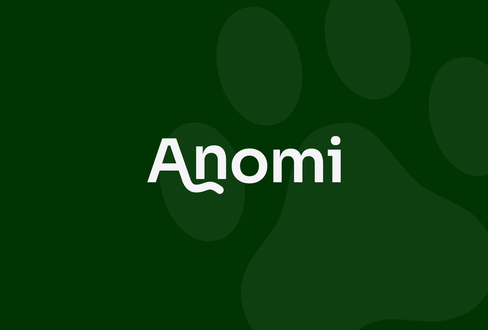Anomi project image 1