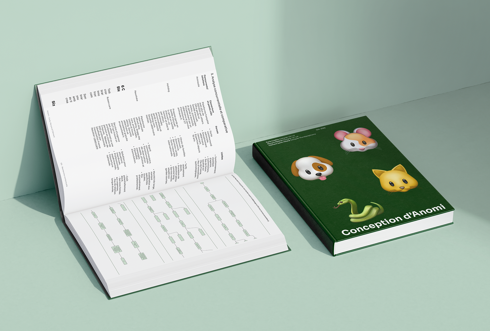 Anomi project image 15