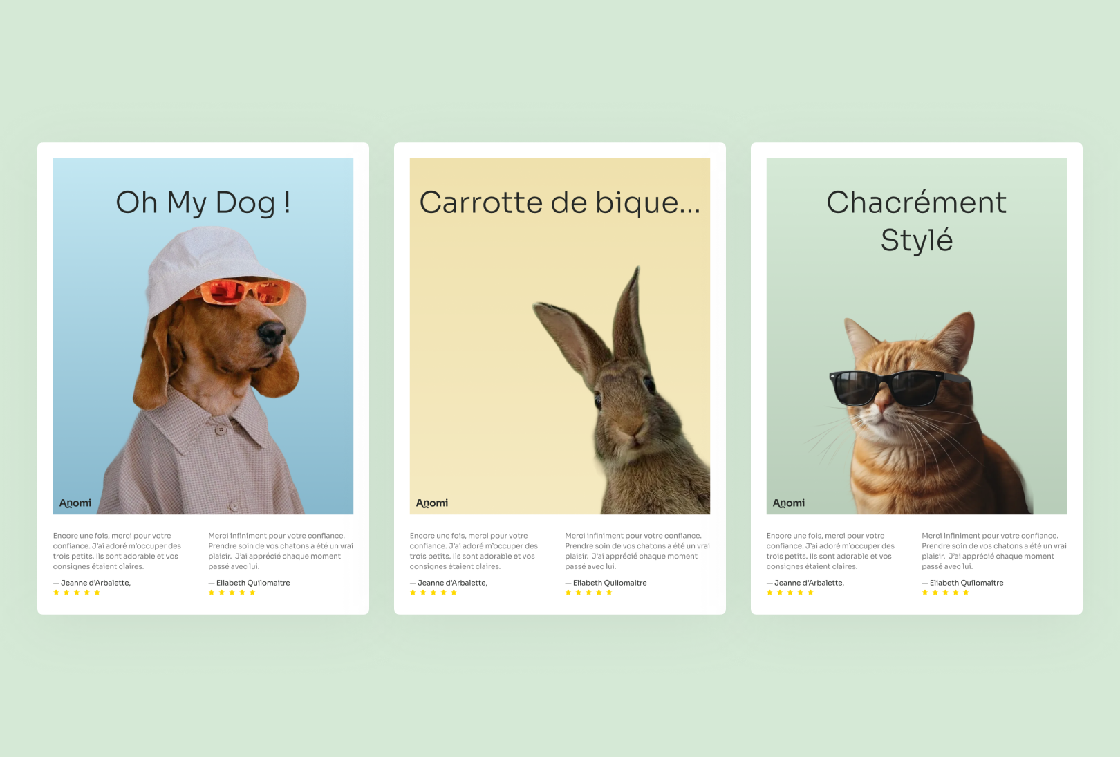 Anomi project image 8